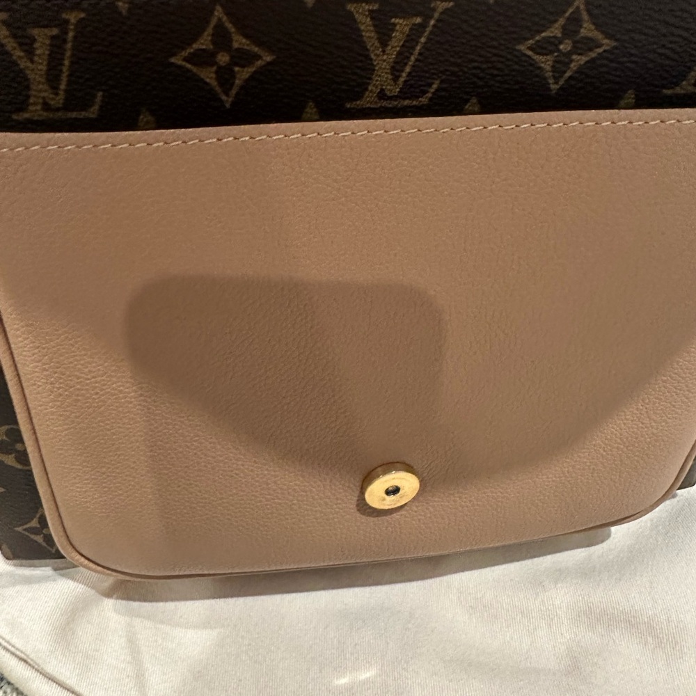 Louis Vuitton Monogram Crossbody Bag - Picture 10 of 12